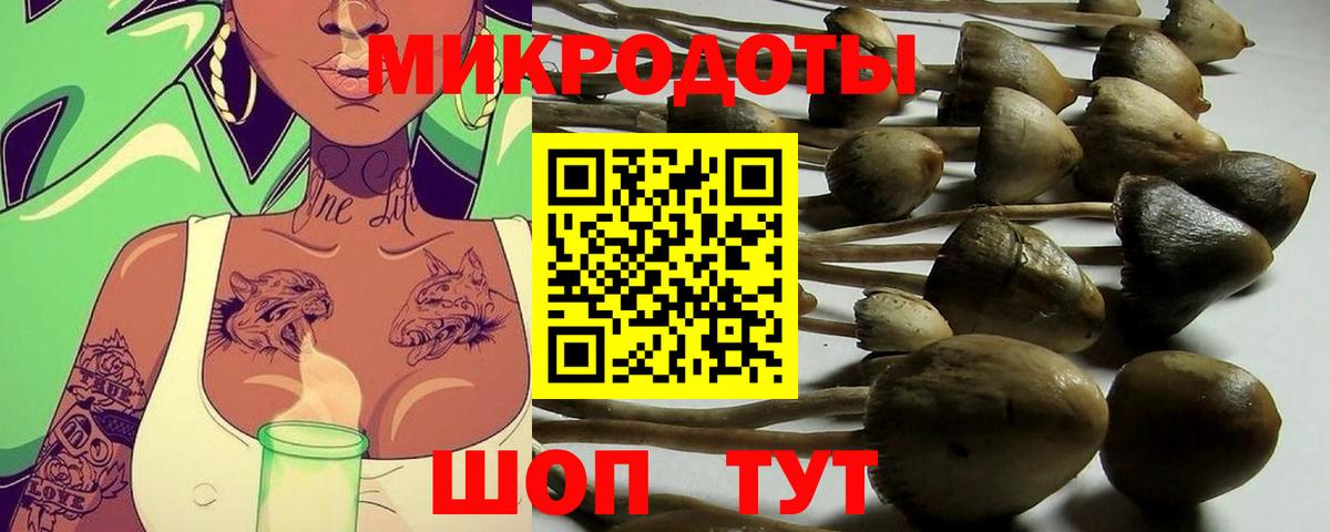 Псилоцибиновые грибы Magic Shrooms  Вход с VPN  Когалым  Псилоцибиновые грибы мухоморы 